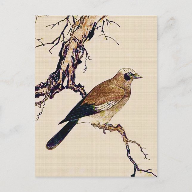 Japansk träsnitt av en Finch, en brunt och en Vykort (Framsida)