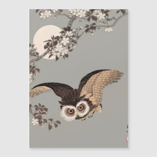 Japansk Uggla, Måne, nattlinda