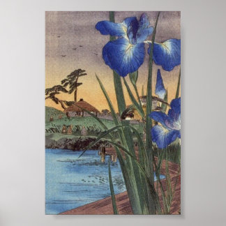 Japansk vintage ukiyo-e blue iris and bird scen poster