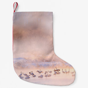 Japansk vinternatur. Jord- och snömiljö. Liten Julstrumpa
