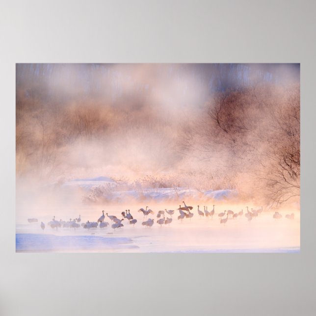 Japansk vinternatur. Jord- och snömiljö. Poster (Framsidan)