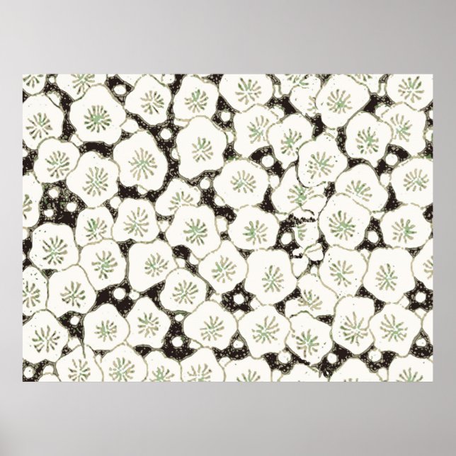 Japansk vit blomma antikt design poster (Framsidan)