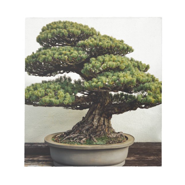 Japansk vit Gräs Bonsai Träd Anteckningsblock (Framsida)