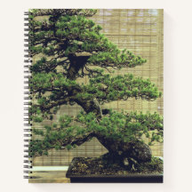 Japansk vit Gräs Bonsai Träd Photo