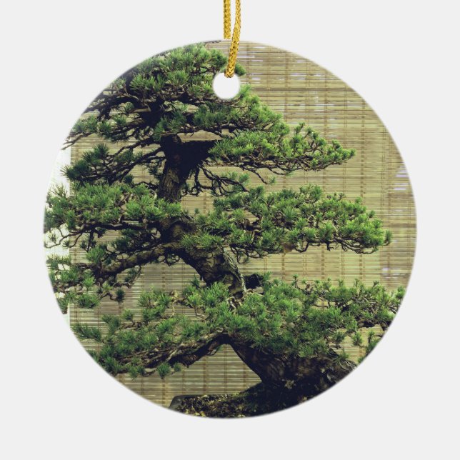 Japansk vit Gräs Bonsai Träd Photo Julgransprydnad Keramik (Framsidan)