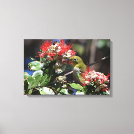 Japansk vit-öga canvastryck