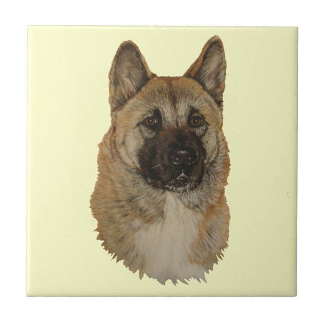 Japanska/amerikanska akita hund konst kakelplatta (Framsidan)