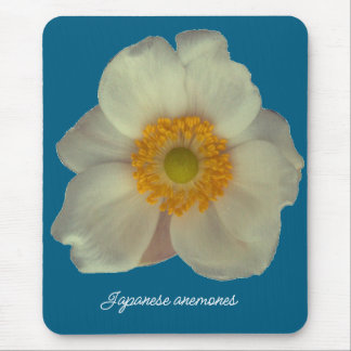 Japanska anemone blommar musmatta
