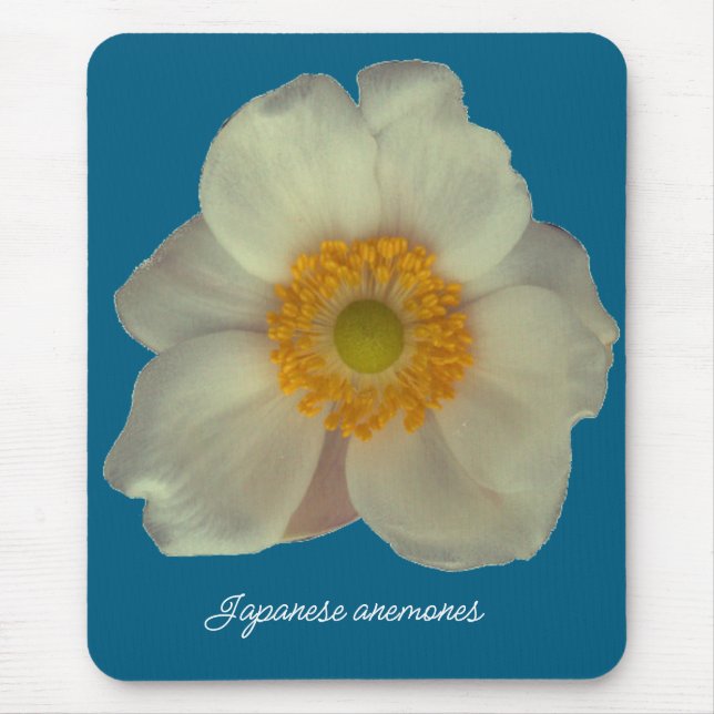 Japanska anemone blommar musmatta (Framsidan)