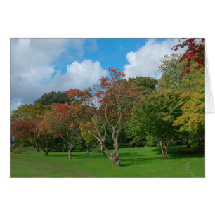 Japanska apel, Bute Park, Cardiff. Hälsningskort