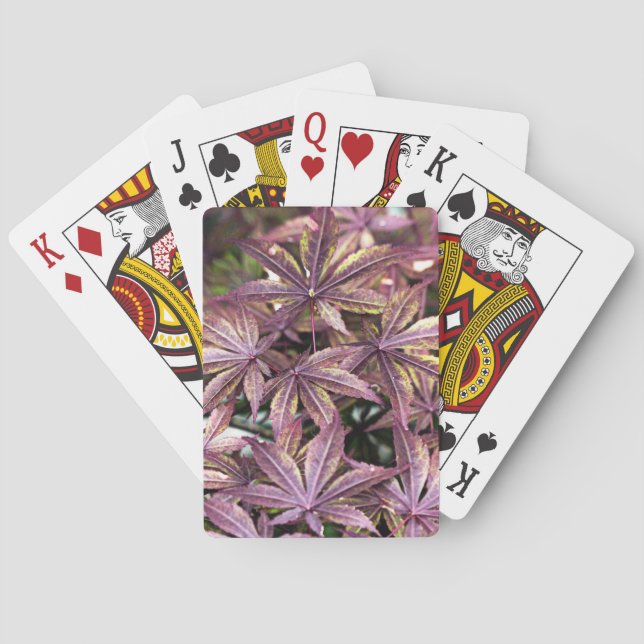 Japanska aple Löv Casinokort (Baksidan)