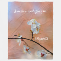 Japanska Apricot-Blommar