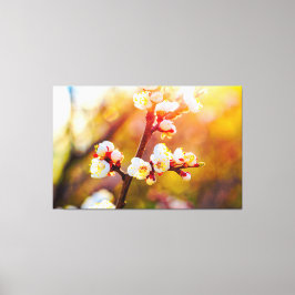 Japanska Apricot Flowers at Hett Orange Sunset Canvastryck