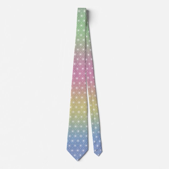 Japanska Asanoha Traditional Print Pastel Rainbow Slips (Framsida)