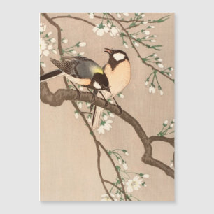Japanska asiatiska Koson Bird Chickadee Songbird