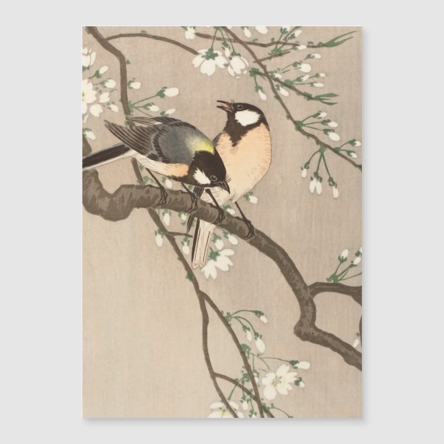Japanska asiatiska Koson Bird Chickadee Songbird (Framsida)