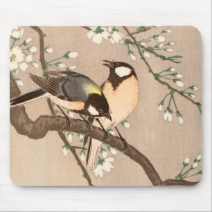 Japanska asiatiska Koson Bird Chickadee Songbird Musmatta