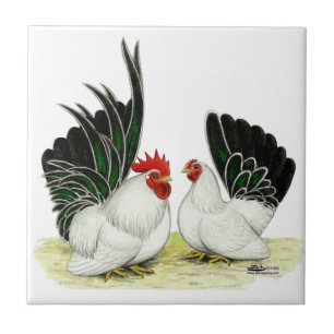 Japanska Blacktail Bantams Kakelplatta