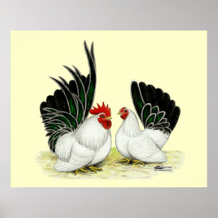 Japanska Blacktail Bantams Poster
