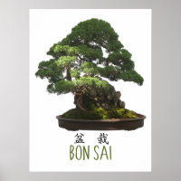Japanska Bonsai Träd och Symbol