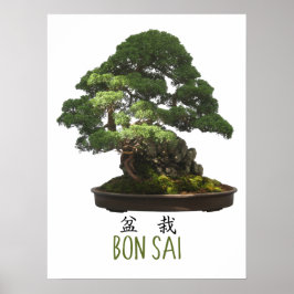 Japanska Bonsai Träd och Symbol Poster