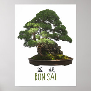 Japanska Bonsai Träd och Symbol Poster