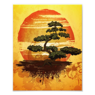 Japanska Bonsai Träd Sunset Fototryck
