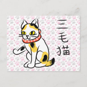 Japanska Calico Cat-vykort Helg Vykort