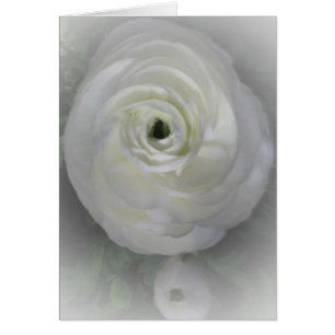 Japanska Camelia Hälsningskort