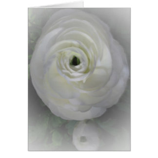 Japanska Camelia Hälsningskort