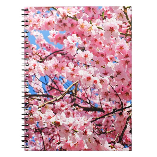 Japanska Cherry-Blommar Anteckningsbok (Framsidan)