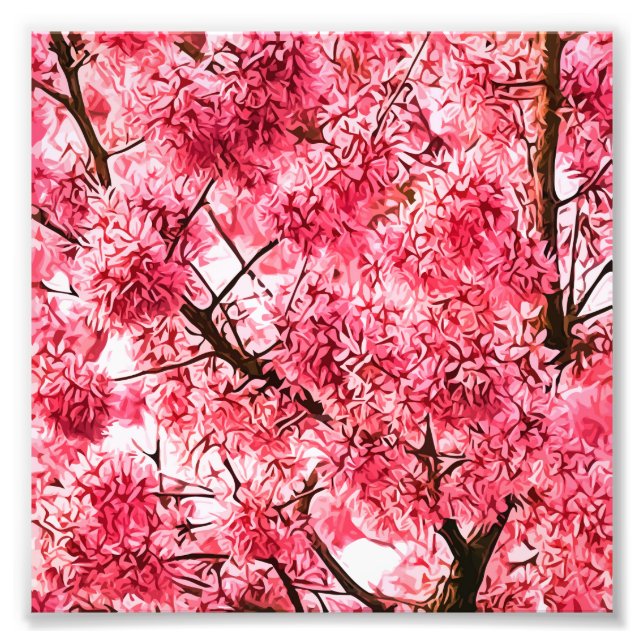 Japanska Cherry Blommar Träd (2013) Fototryck (Framsidan)