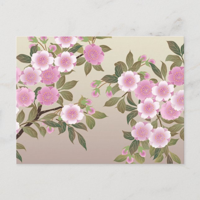 Japanska Cherry-Blommar Vykort (Framsida)
