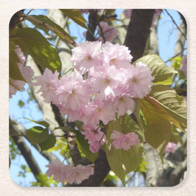 Japanska Cherry Blommars Photo Underlägg Papper Kvadrat (Framsidan)