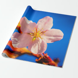Japanska Cherry Sakura Flower Presentpapper