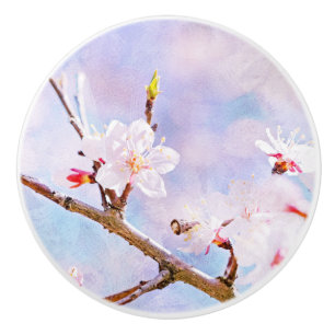 Japanska Cherry - Sakura i Bloom Knopp