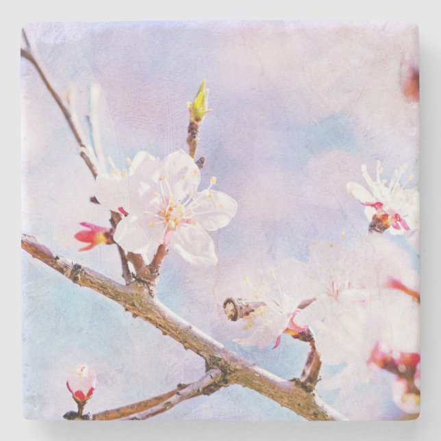Japanska Cherry - Sakura i Bloom Underlägg Sten (Framsidan)