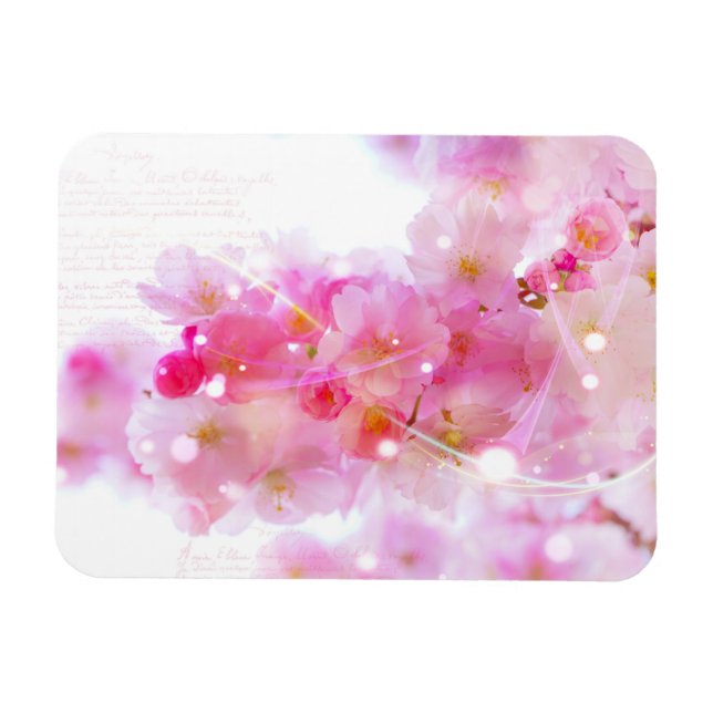 Japanska Cherry Träd med Pastel Rosa Blommars Magnet (Horisontell)