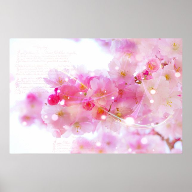 Japanska Cherry Träd med Pastel Rosa Blommars Poster (Framsidan)
