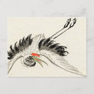 Japanska Crane Vintage Postcard Vykort