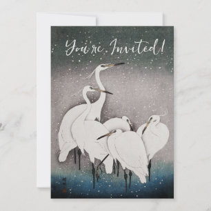 Japanska Egrets Koson Cranes Winter Snö Inbjudningar