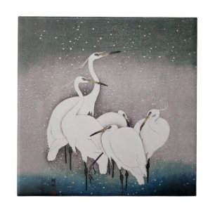 Japanska Egrets Koson Cranes Winter Snö Kakelplatta