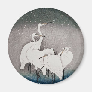Japanska Egrets Koson Cranes Winter Snö Magnet