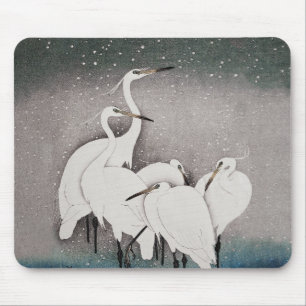Japanska Egrets Koson Cranes Winter Snö Musmatta