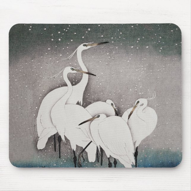 Japanska Egrets Koson Cranes Winter Snö Musmatta (Framsidan)
