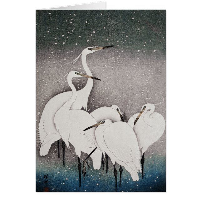 Japanska Egrets Koson Cranes Winter Snö OBS Kort (Framsidan)