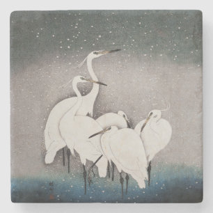 Japanska Egrets Koson Cranes Winter Snö Stenunderlägg