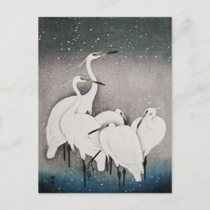Japanska Egrets Koson Cranes Winter Snö Vykort
