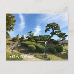 Japanska Garden Backe Vykort