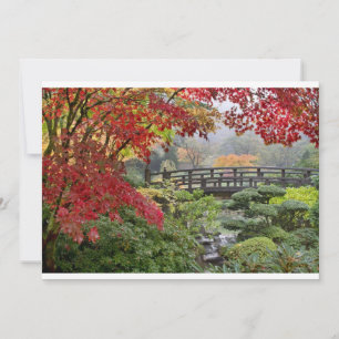 Japanska Garden i ett Foggy Fall-morgonkort
